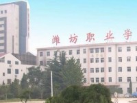 潍坊汽车职业学院奎文校区2020年排名